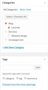 Category and Tag fields in WordPress